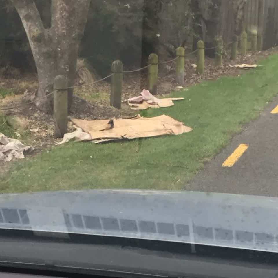 The photograph attached to this rubbish/recycling report