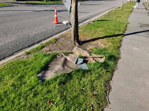 Rubbish/Recycling, a report photo