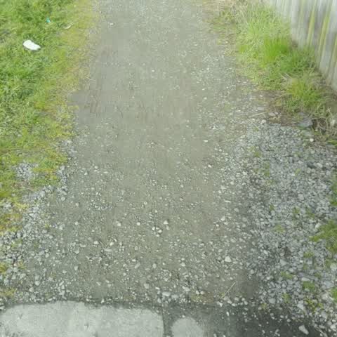 Roading/Streets, a report photo