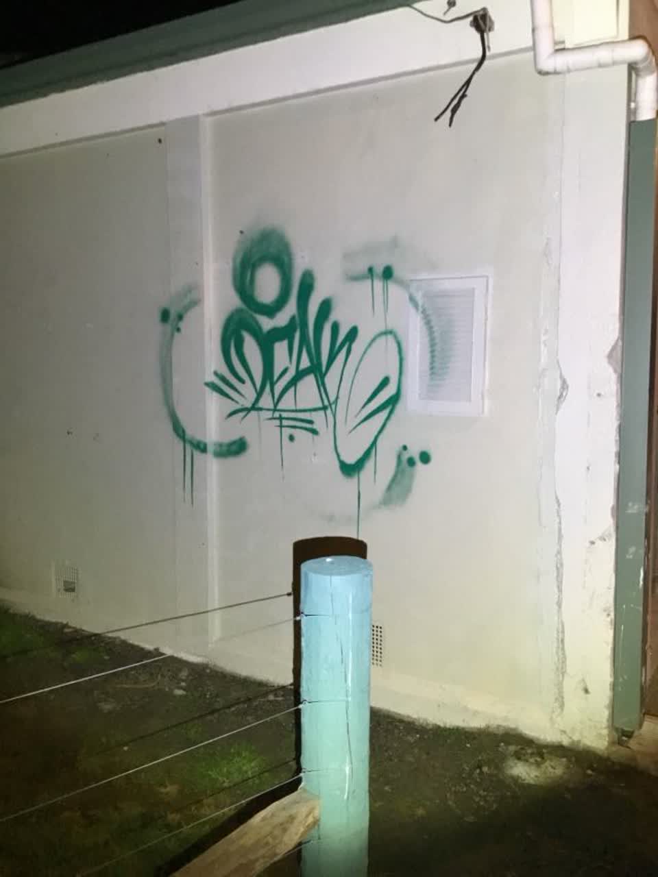 The photograph attached to this graffiti report