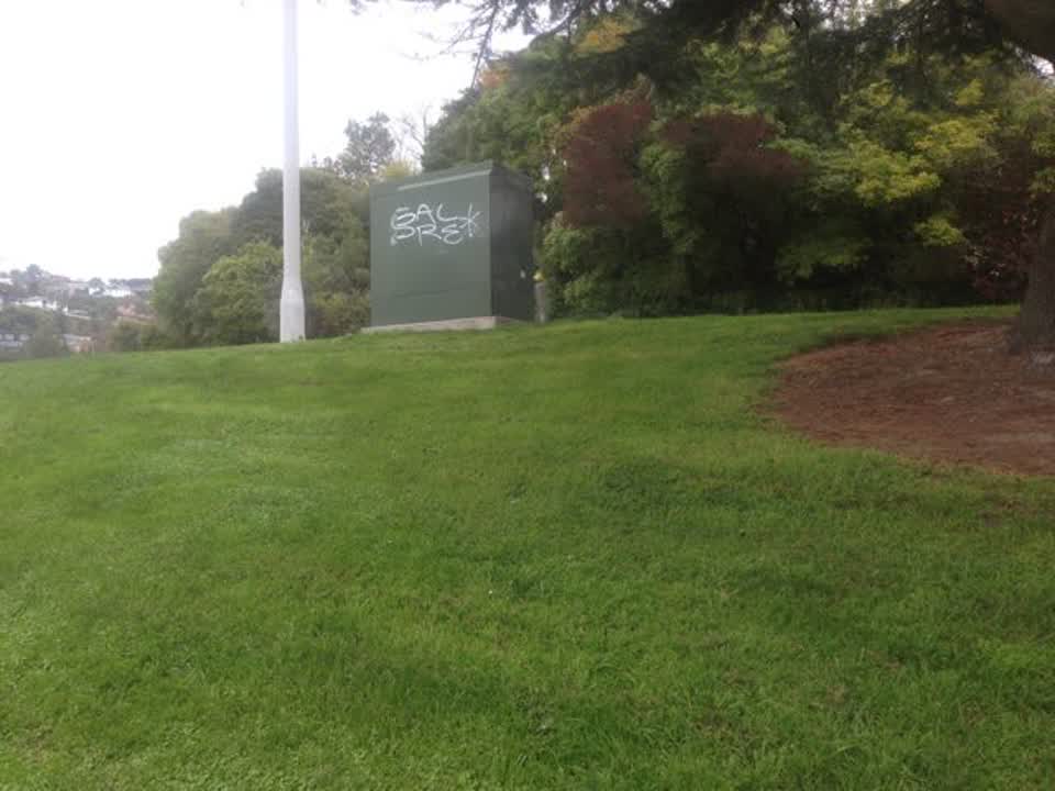 The photograph attached to this graffiti report
