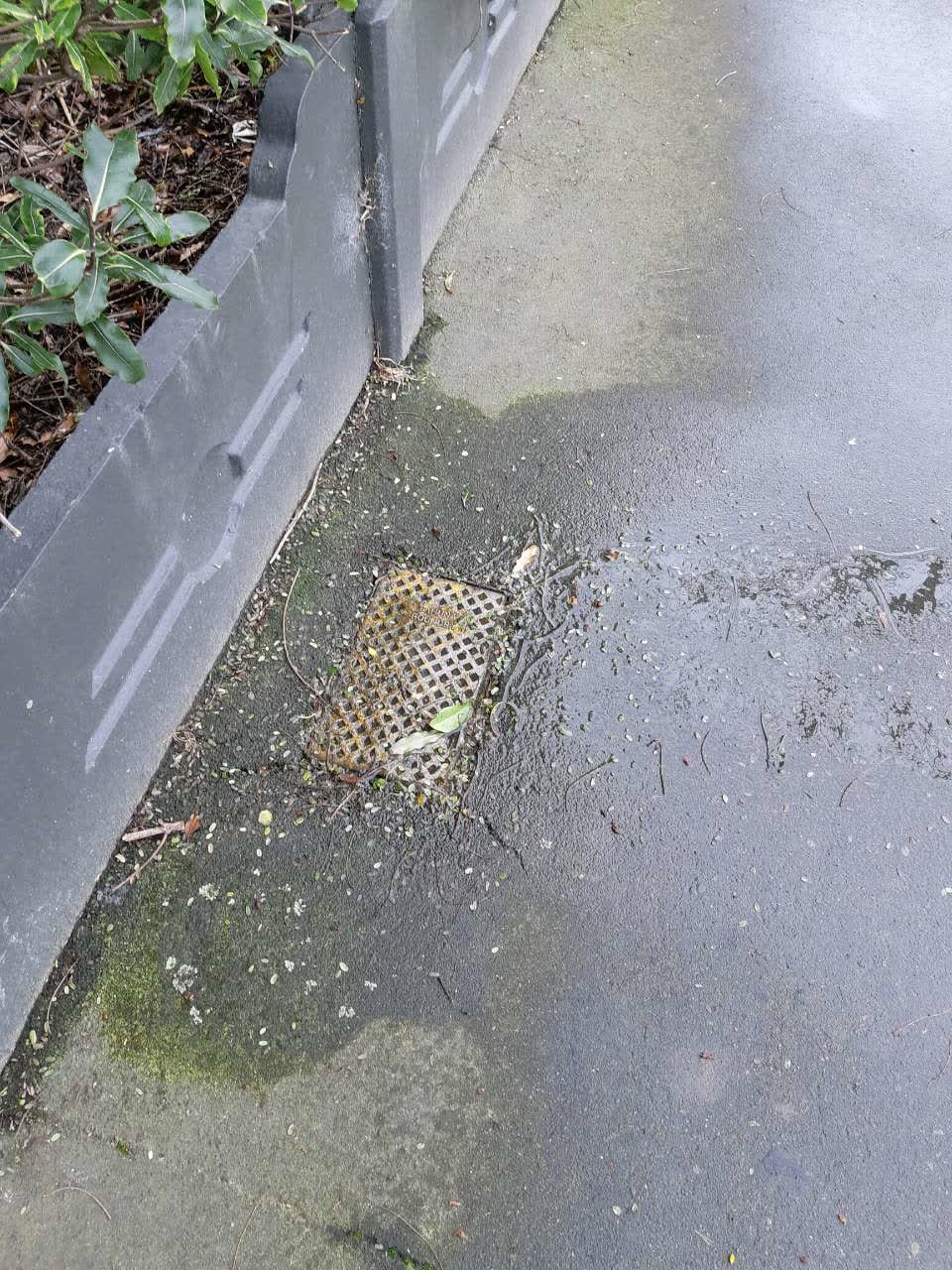 The photograph attached to this water supply report