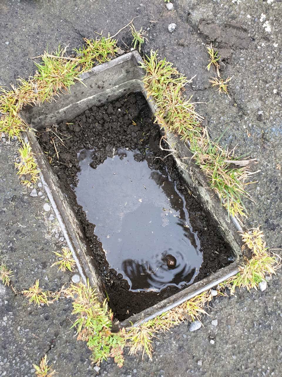 The photograph attached to this water supply report