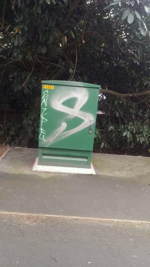 Graffiti, a report photo