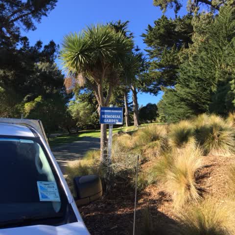 Parks, a report photo