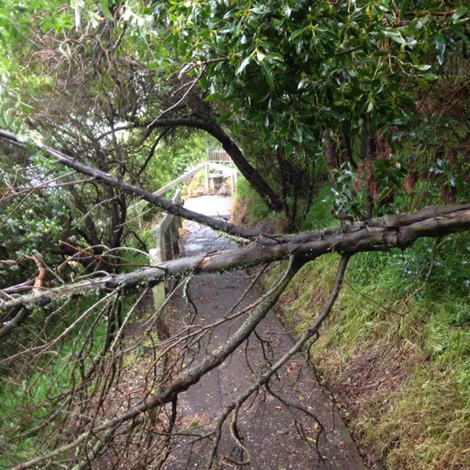 The photograph attached to this parks report