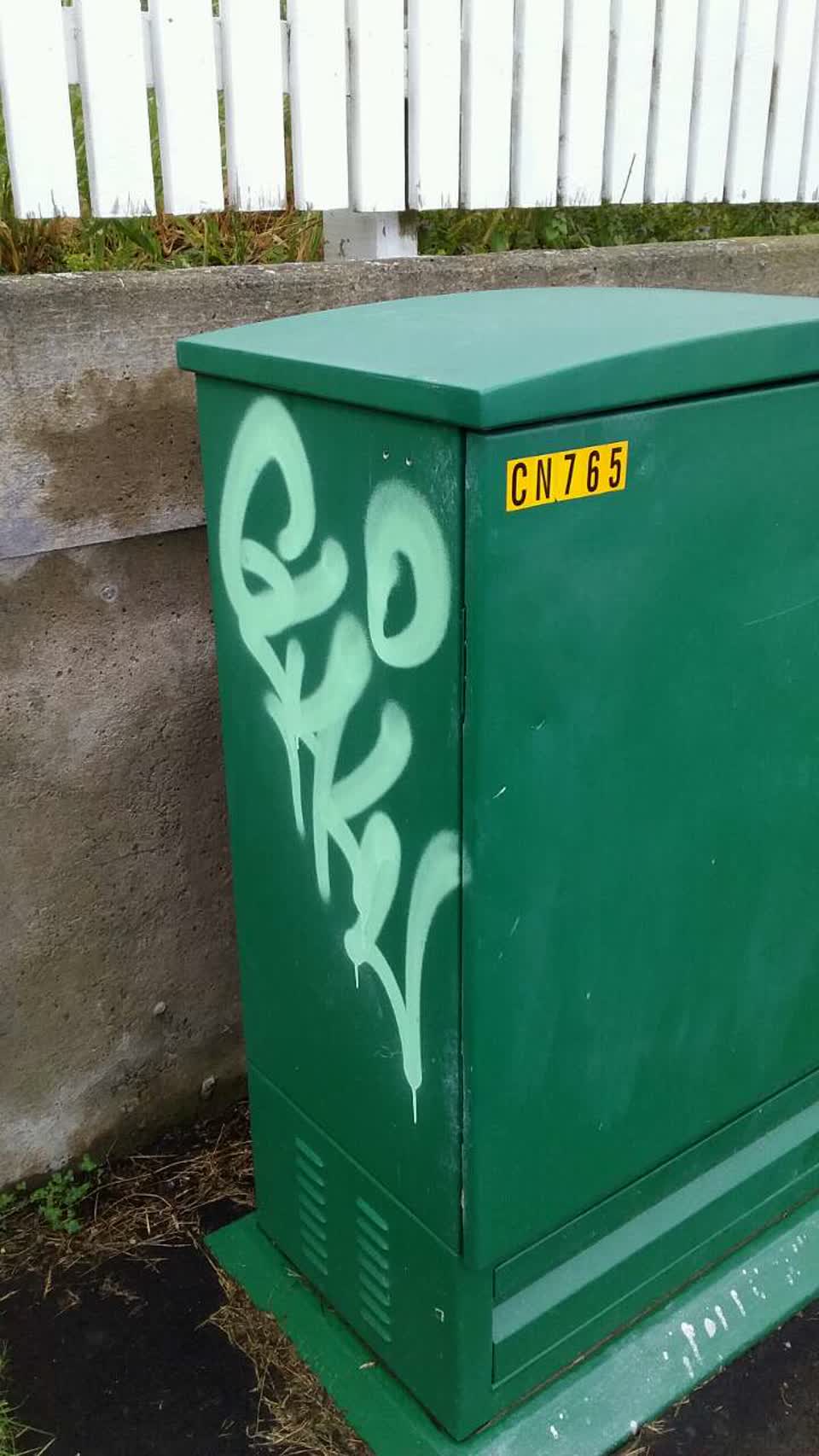 The photograph attached to this graffiti report