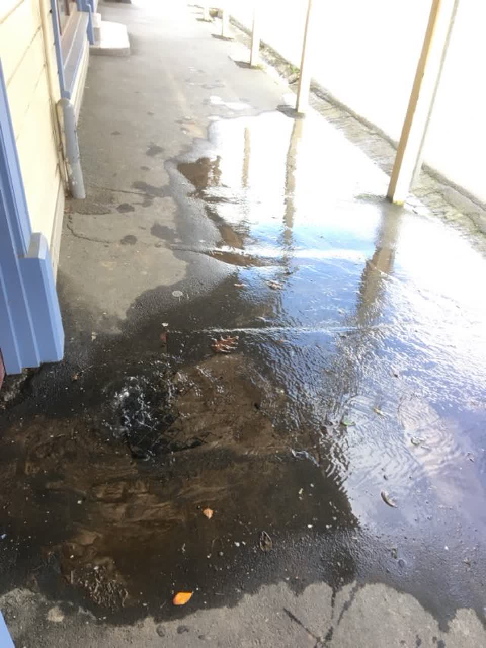 The photograph attached to this wastewater/stormwater report