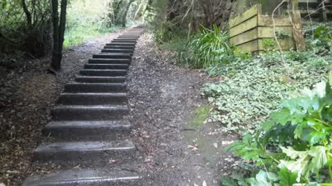 Wastewater/Stormwater, a report photo