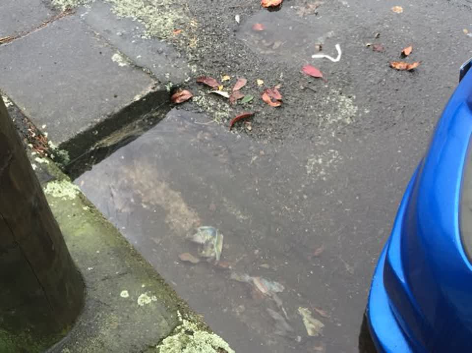 The photograph attached to this flooding report