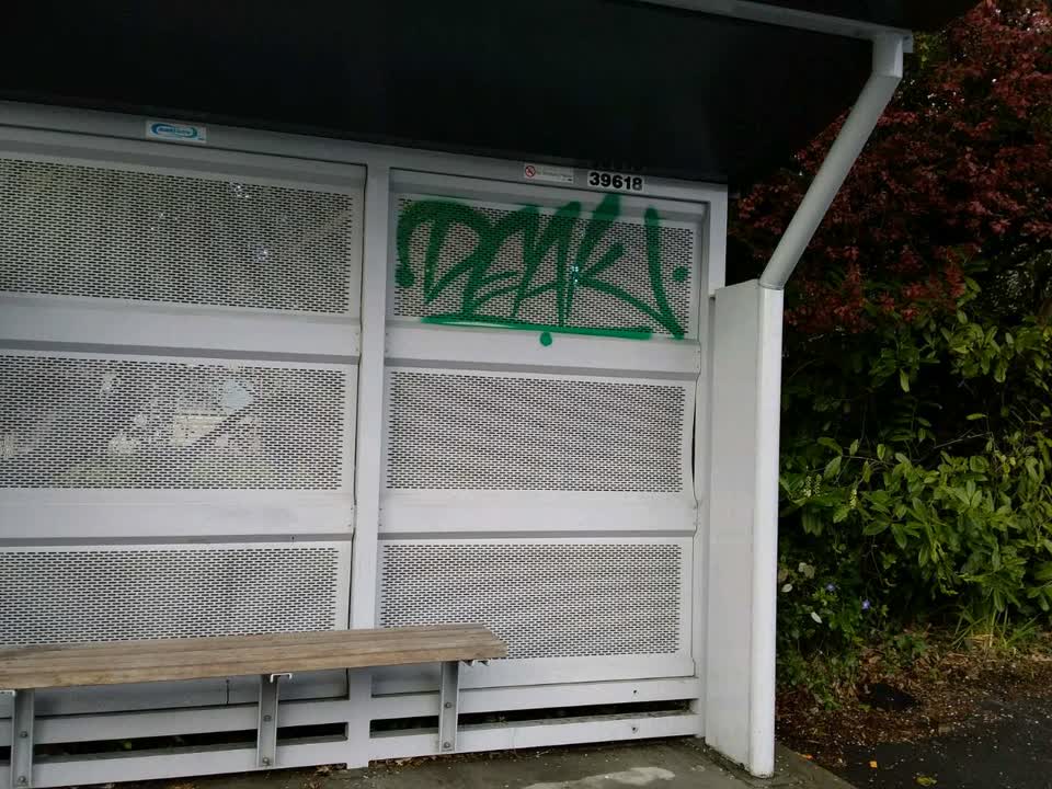 The photograph attached to this graffiti report