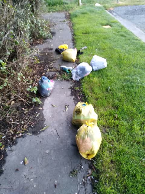 Rubbish/Recycling, a report photo