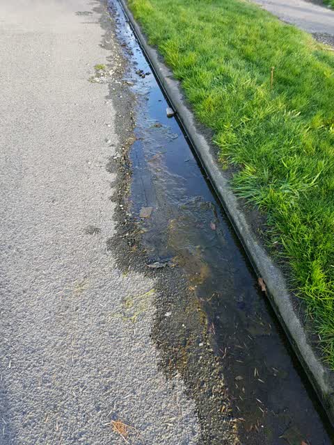 Water Supply, a report photo