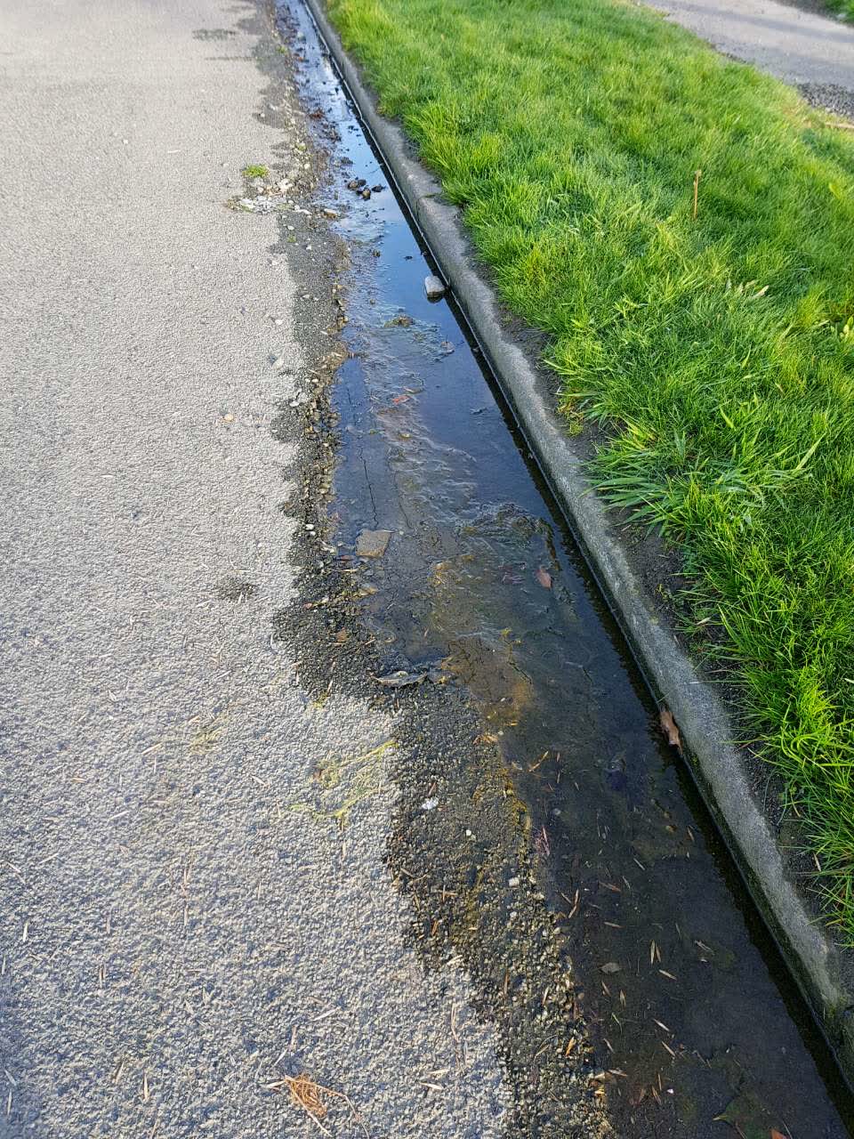 The photograph attached to this water supply report