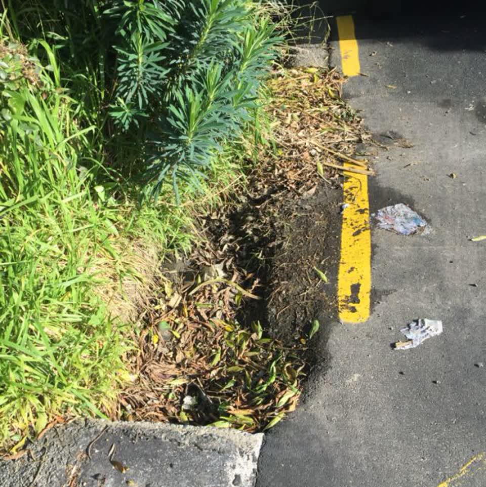The photograph attached to this parks report