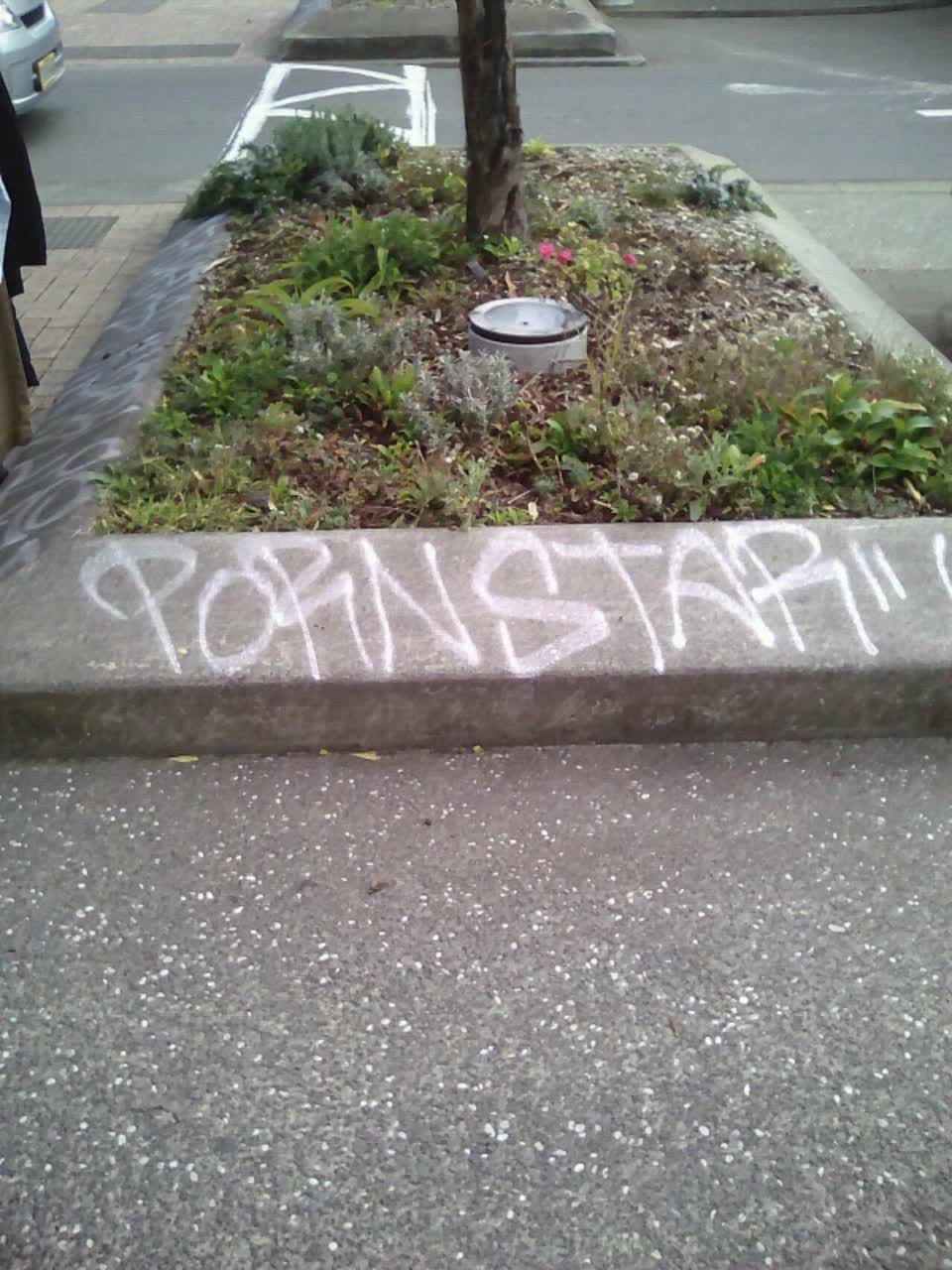 The photograph attached to this graffiti report