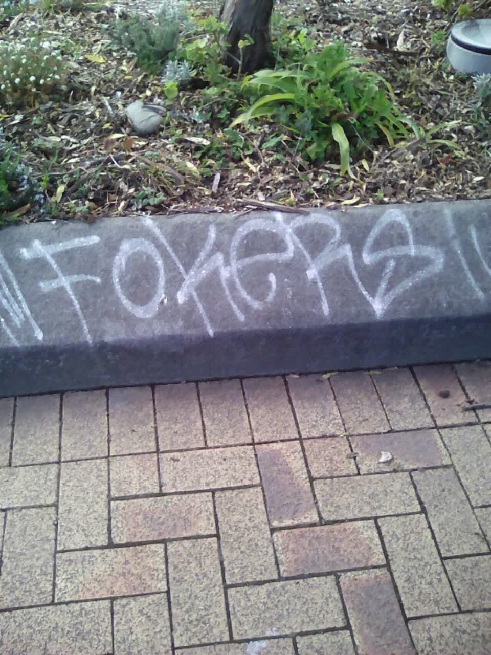 The photograph attached to this graffiti report