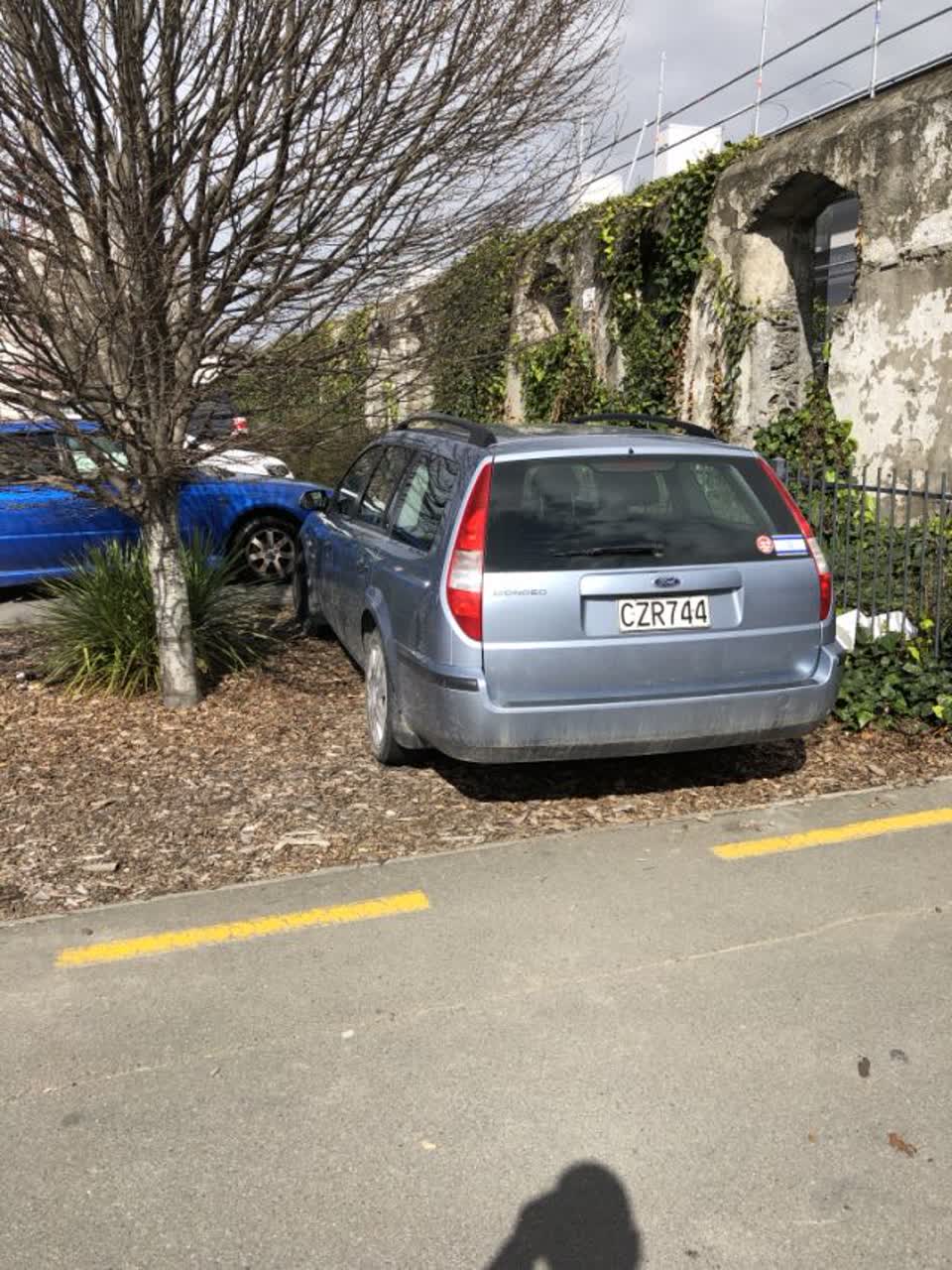 The photograph attached to this parks report
