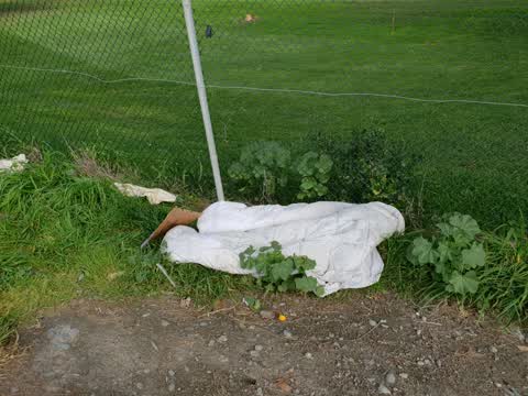 Rubbish/Recycling — a report photo
