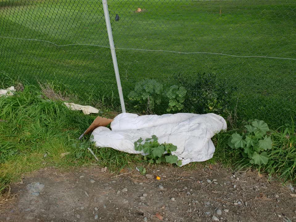 The photograph attached to this rubbish/recycling report