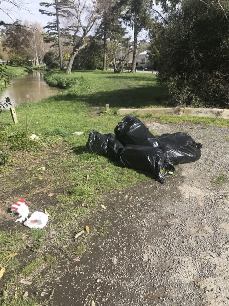 The photograph attached to this rubbish/recycling report