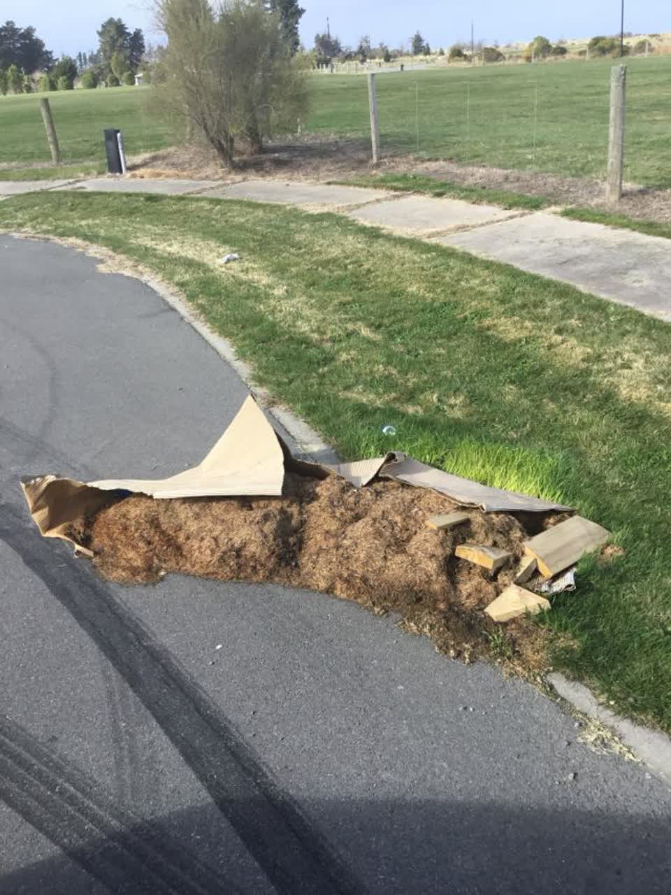 The photograph attached to this rubbish/recycling report