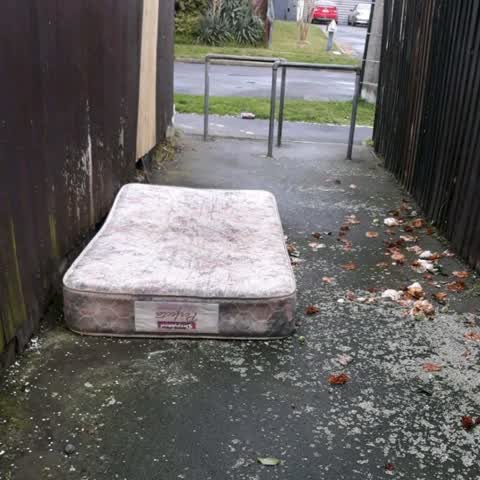 Rubbish/Recycling, a report photo
