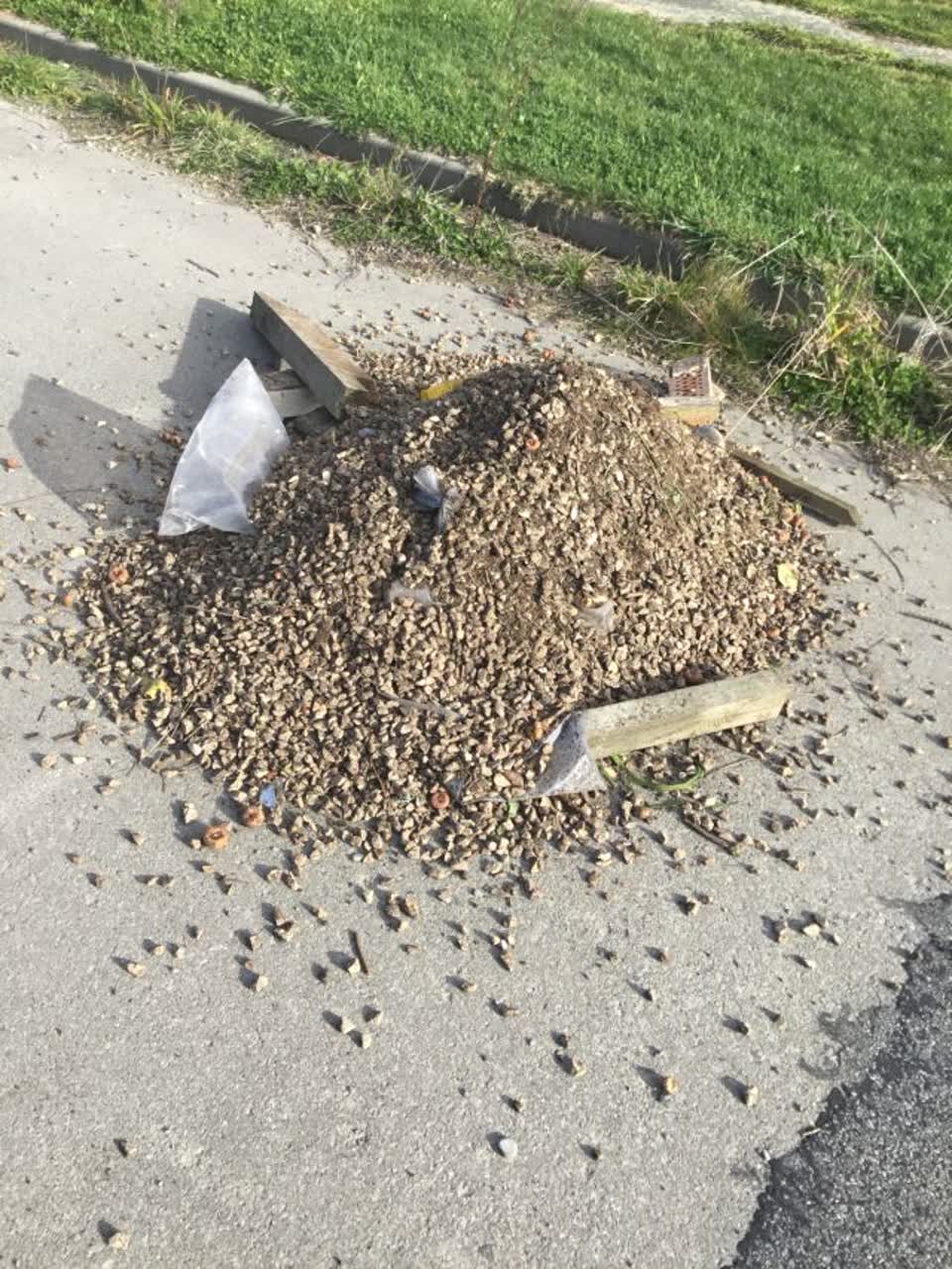 The photograph attached to this rubbish/recycling report
