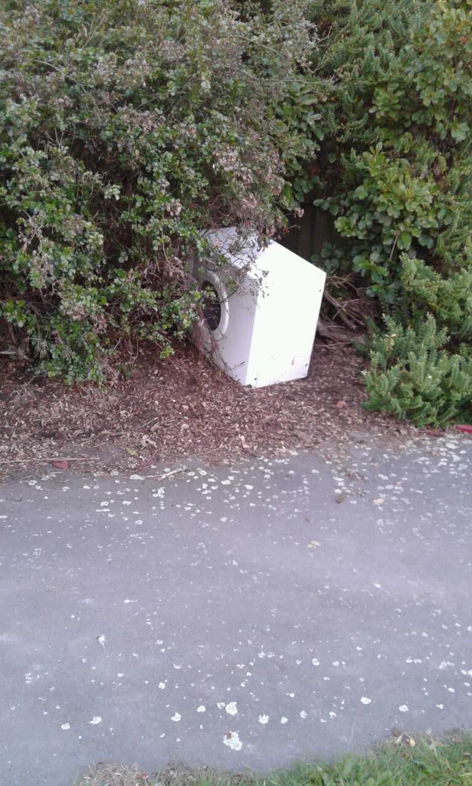 The photograph attached to this rubbish/recycling report