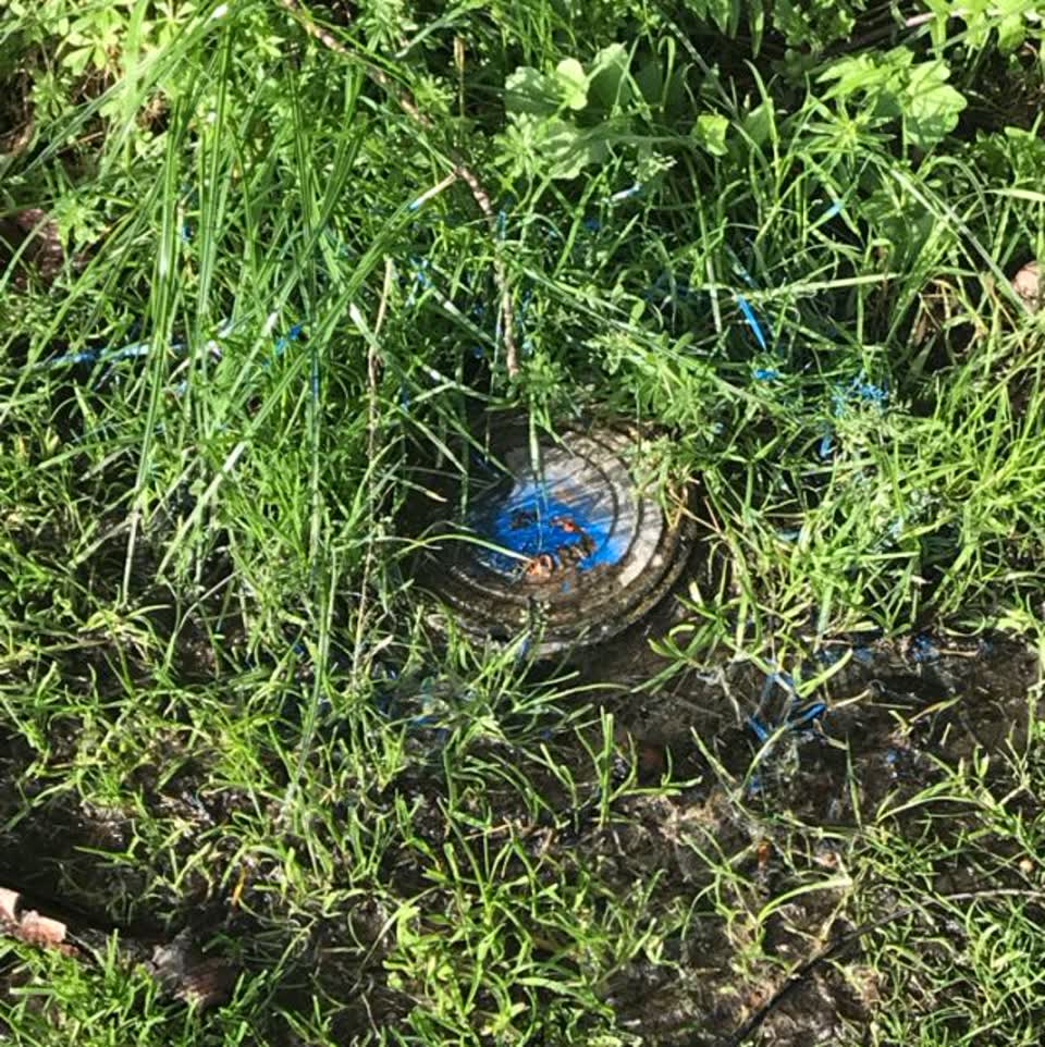 The photograph attached to this water supply report