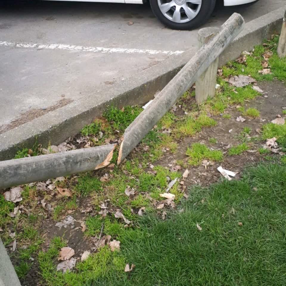 The photograph attached to this parks report