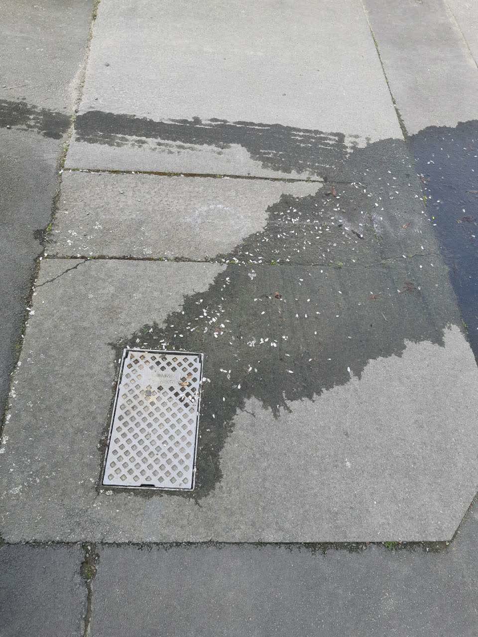 The photograph attached to this water supply report