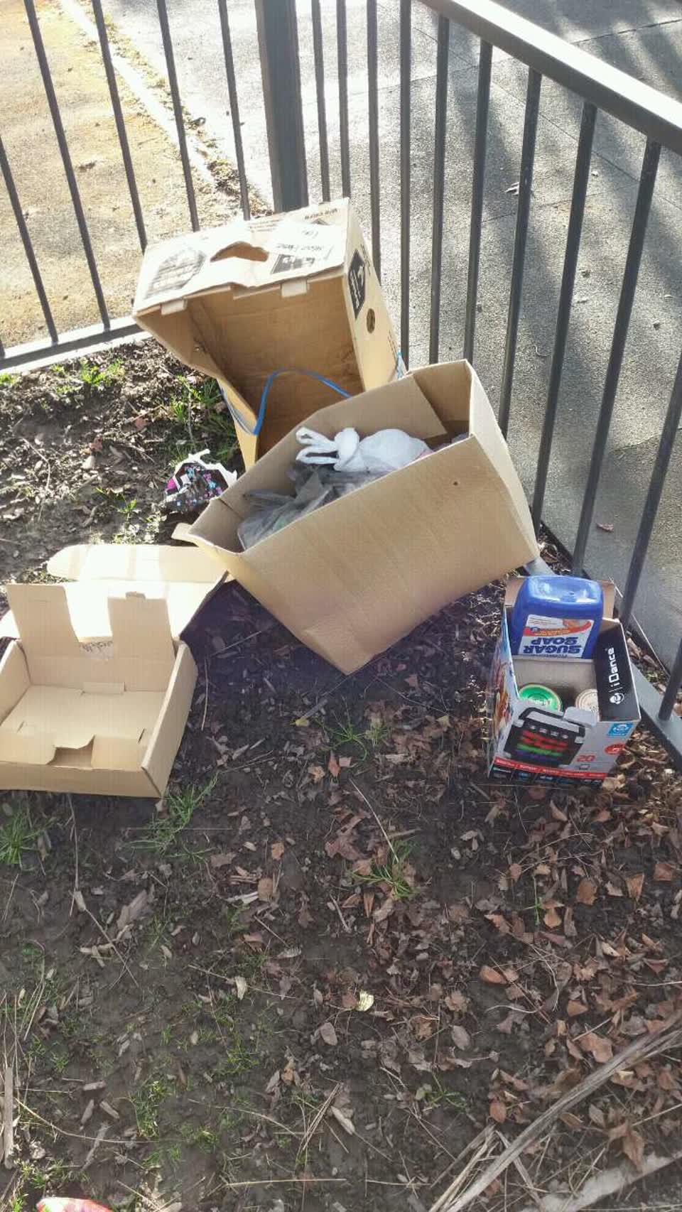 The photograph attached to this rubbish/recycling report