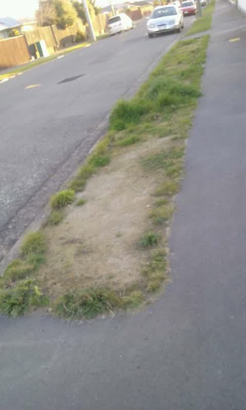 Roading/Streets, a report photo