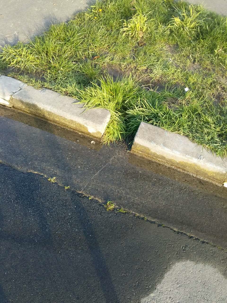 The photograph attached to this water supply report