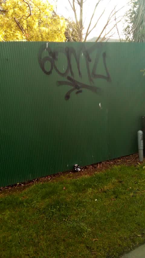 Graffiti, a report photo