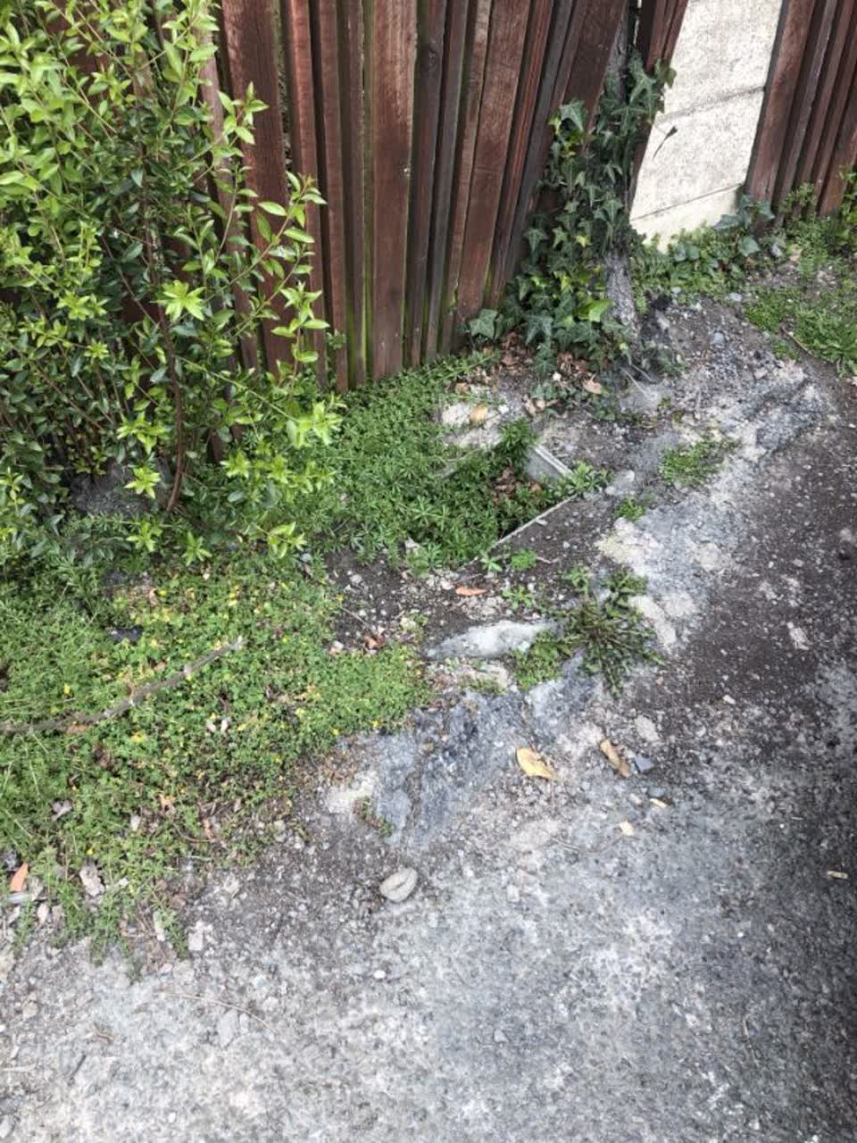 The photograph attached to this water supply report