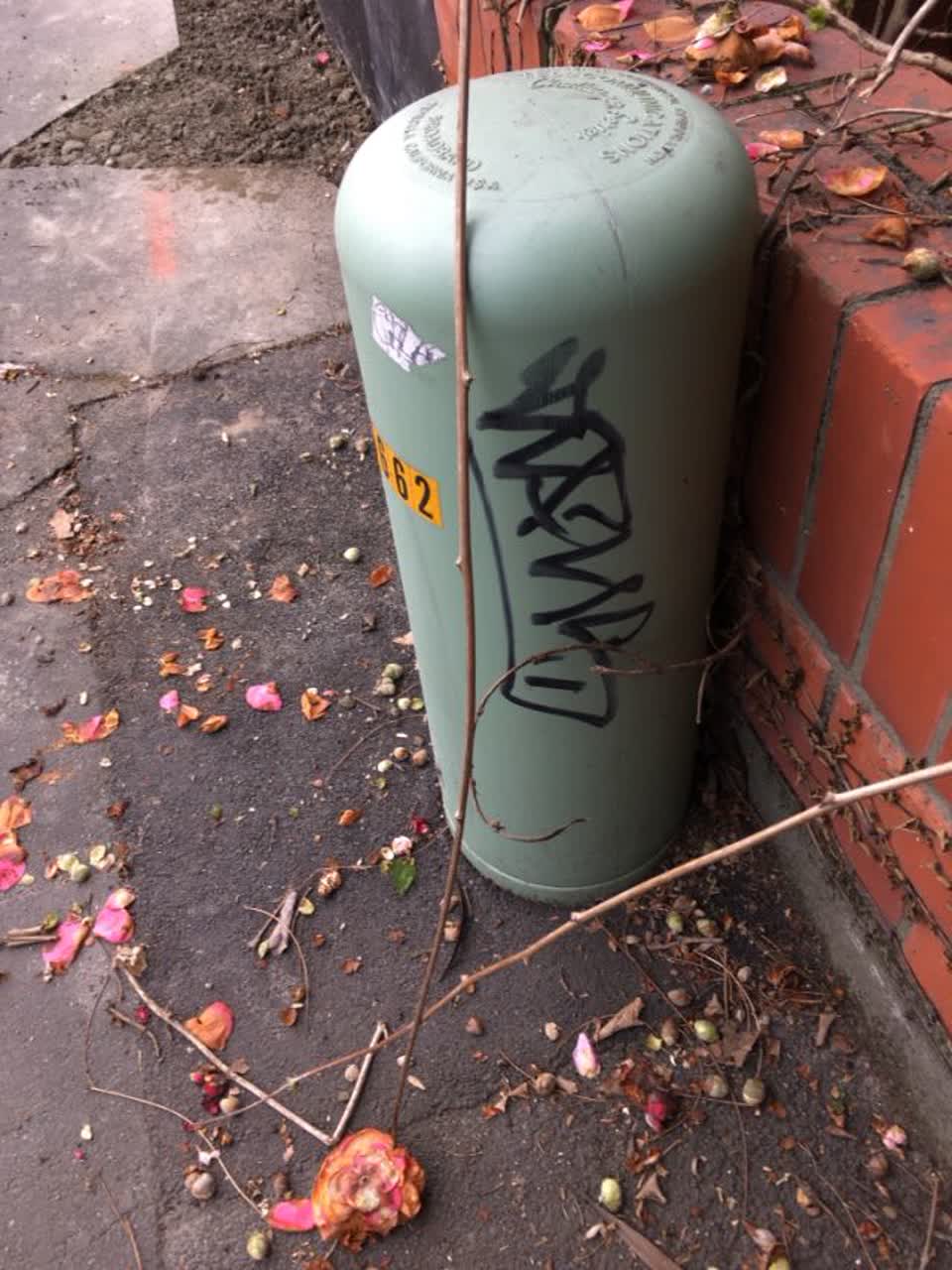 The photograph attached to this graffiti report
