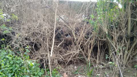 Wastewater/Stormwater, a report photo