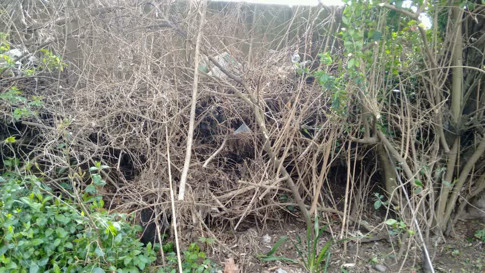The photograph attached to this wastewater/stormwater report