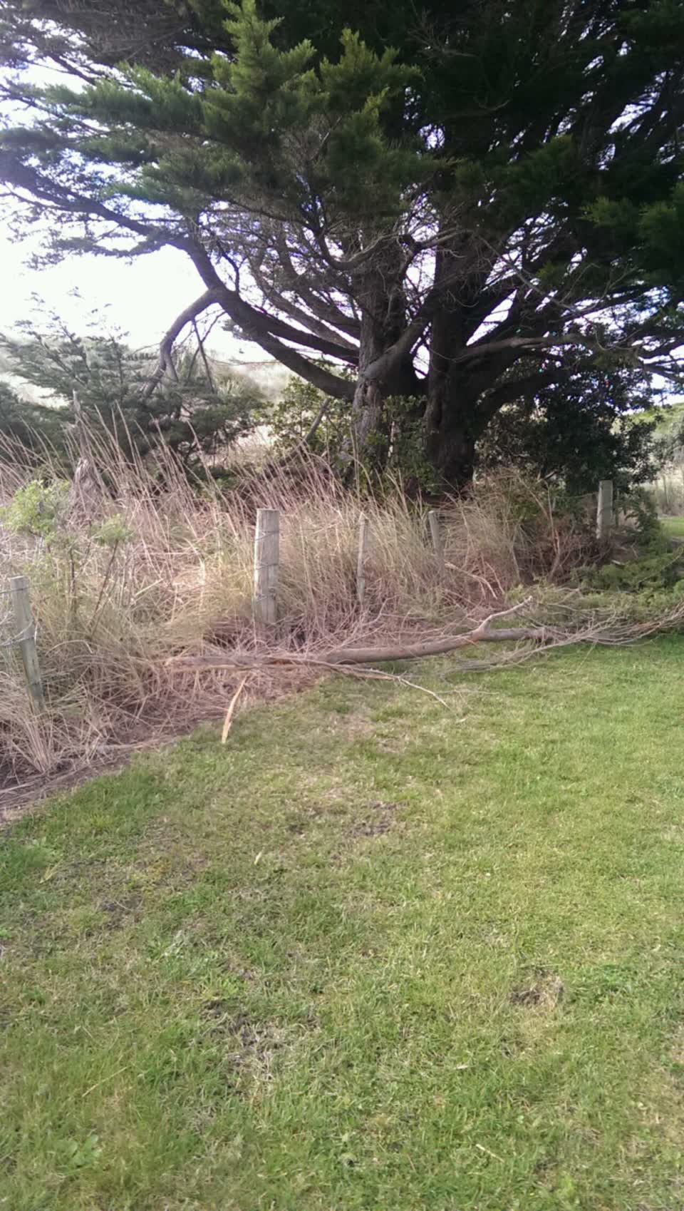 The photograph attached to this parks report