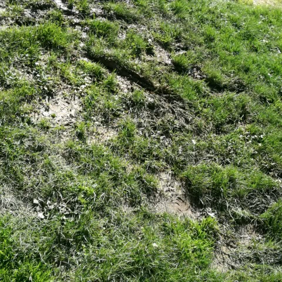 The photograph attached to this water supply report