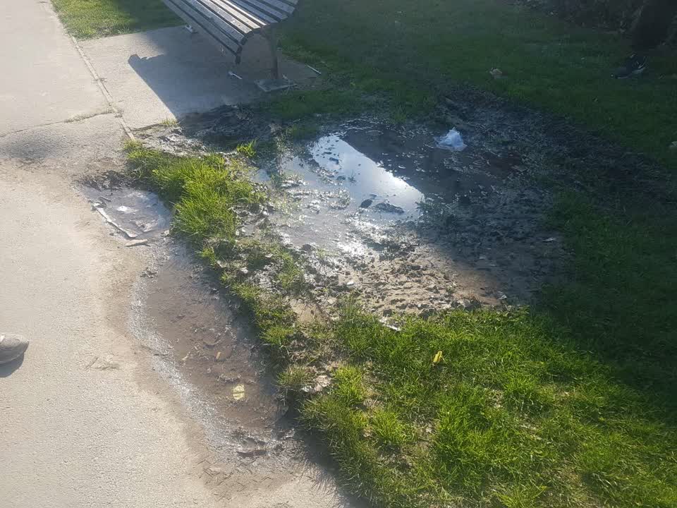 The photograph attached to this parks report