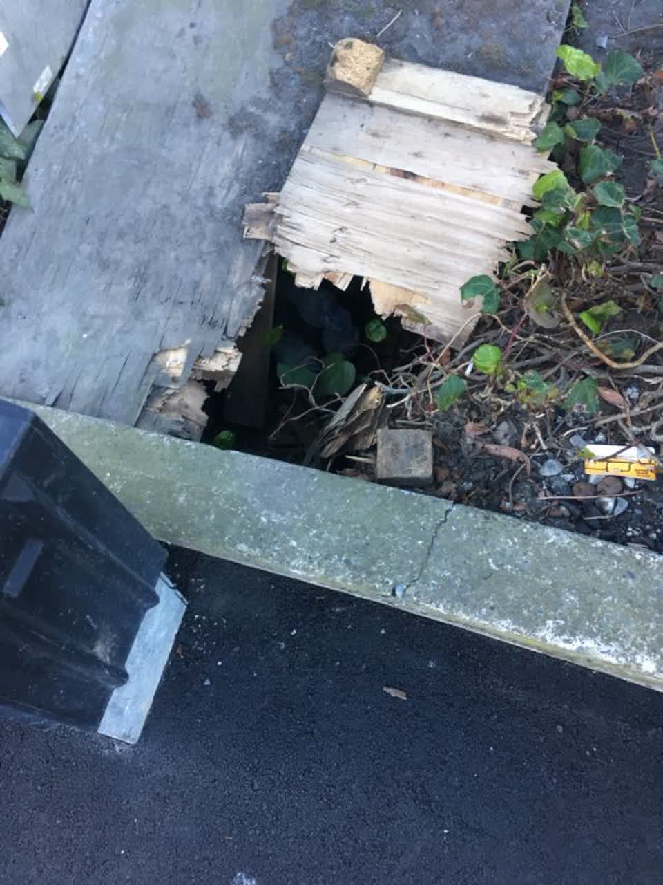 The photograph attached to this roading/streets report