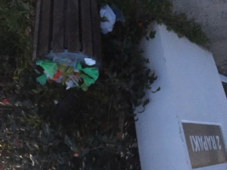 The photograph attached to this rubbish/recycling report