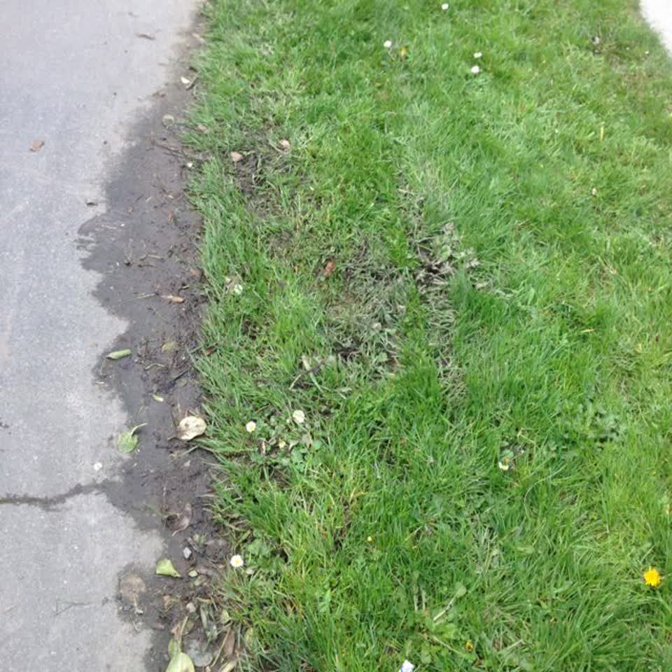 The photograph attached to this water supply report