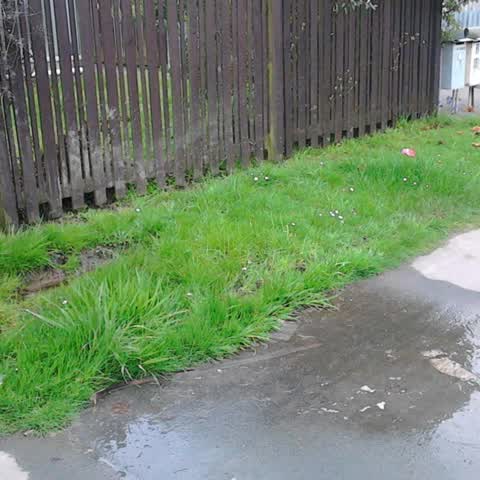 Roading/Streets, a report photo