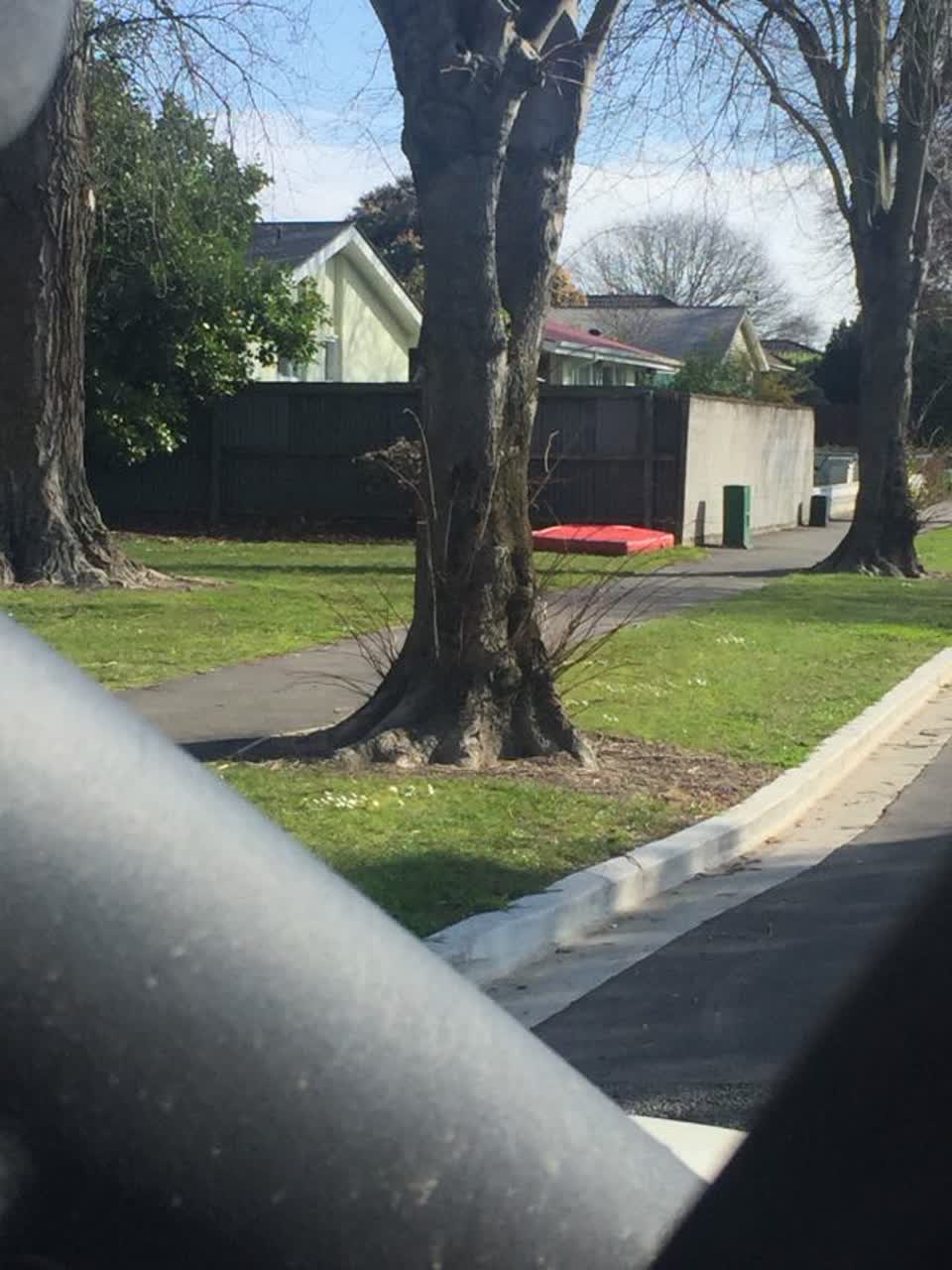 The photograph attached to this parks report