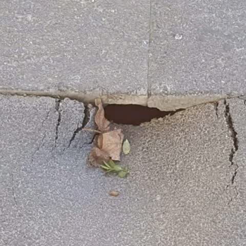 Roading/Streets, a report photo