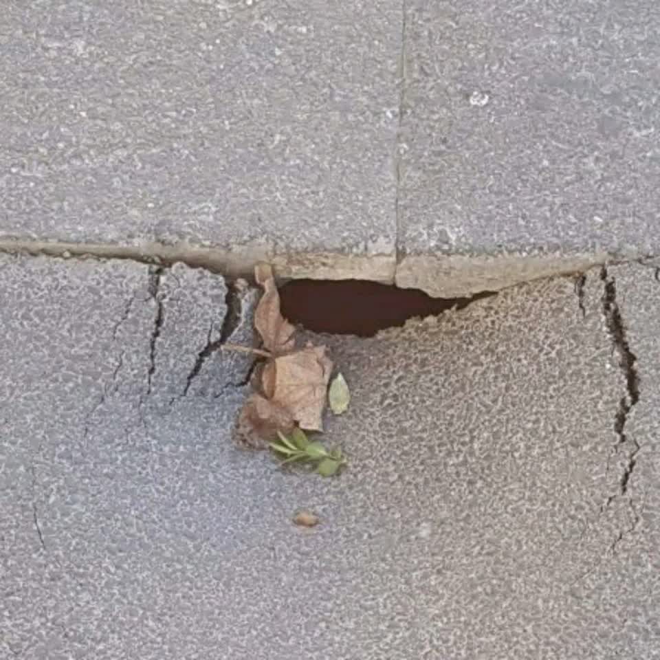 The photograph attached to this roading/streets report